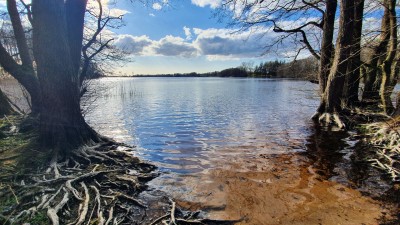natur-pur-d1ee5f66-f0d8-4ebe-8753-7220af57b93a.jpg